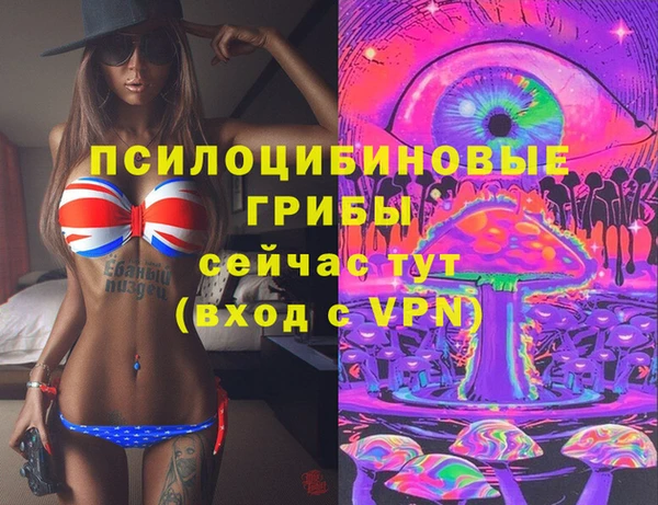 тгк Абинск