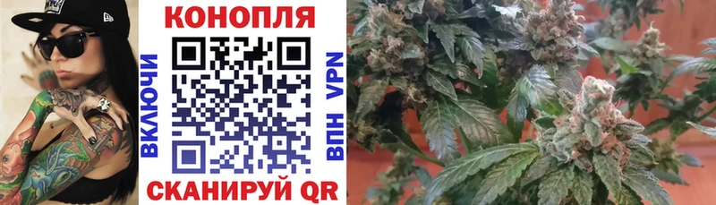 Шишки марихуана ГИДРОПОН  гидра маркетплейс  Скопин 